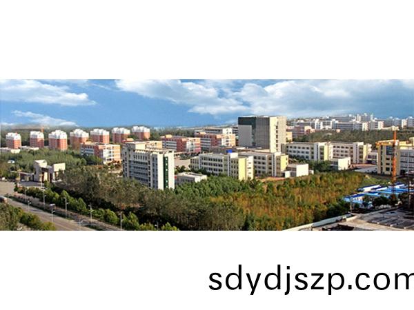 濮(pu)陽(yang)職業(ye)技術(shu)學院