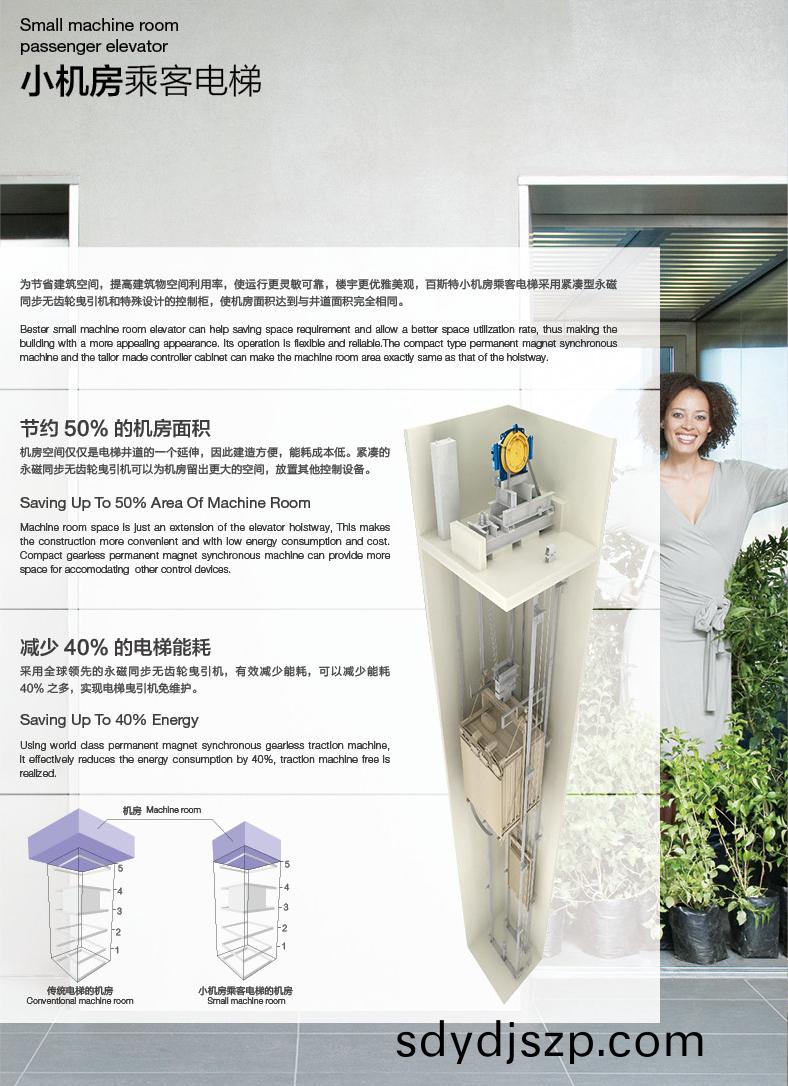 小(xiao)（無(wu)）機房乗客電梯(ti)